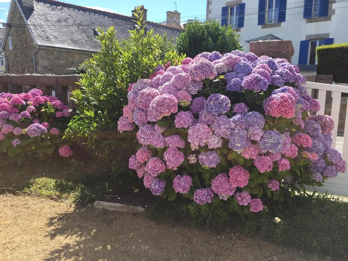 Chez Minh Thu Apartment Perros-Guirec Homestay